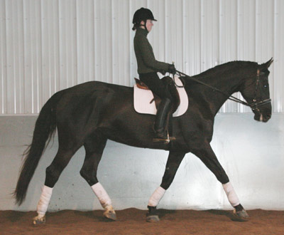 Dar in trot
