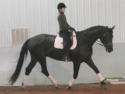 Dar in trot
