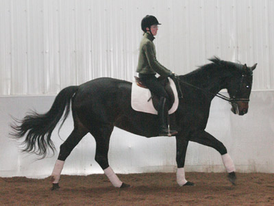 Meg in canter
