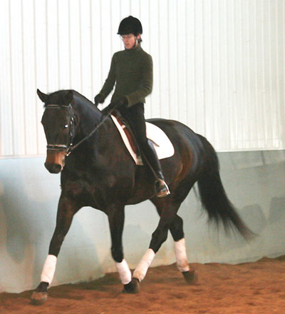Meg in trot