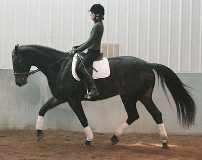 Meg in trot
