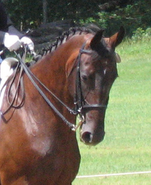 Godiva . . . (2010)
