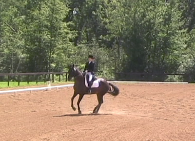 Canter Pirouette. (2010)
